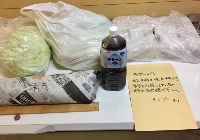 shima2.jpg(46597 byte)