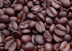 brazil beans