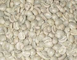mocca green beans
